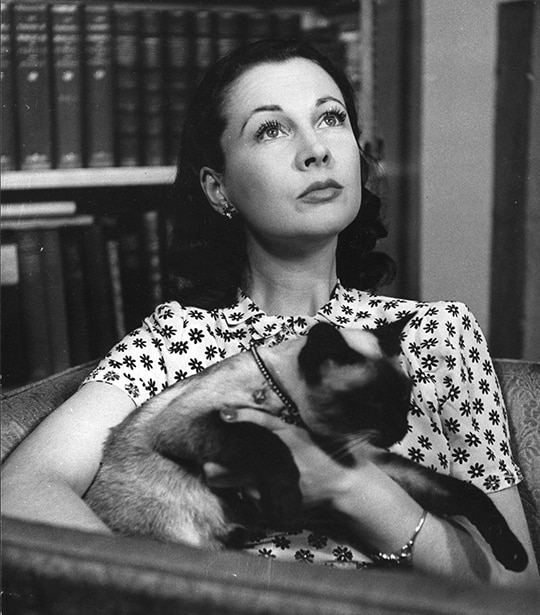 Vivien Leigh and cat